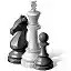 chess中文版 6.28