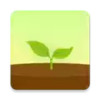 forest4.29 3.27