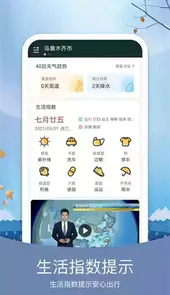 简洁天气预报