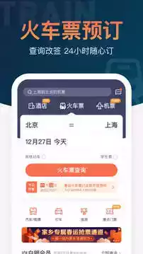 12306铁友火车票查询