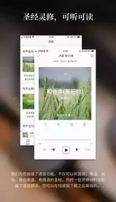 微读圣经2016最新版