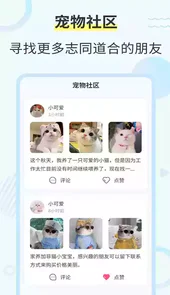 使用猫咪翻译器