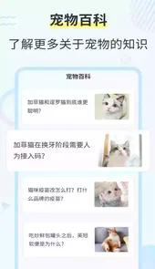 使用猫咪翻译器