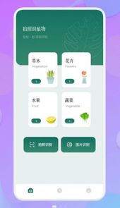拍照识物伴侣