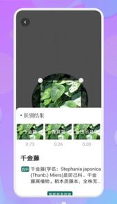 拍照识物伴侣