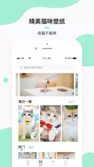 每日一猫动图