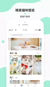 每日一猫动图