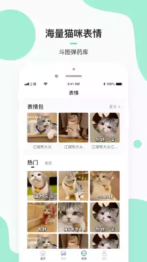 每日一猫动图