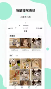 每日一猫动图