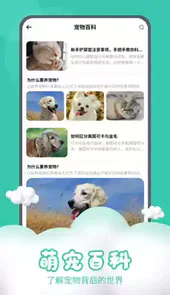 猫狗交流器app