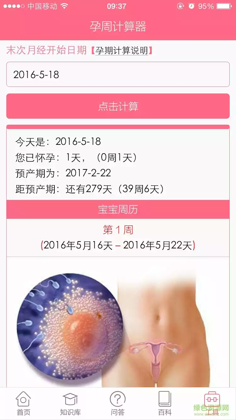 怀孕周数计算器在线