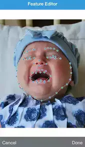 奇幻变脸秀app