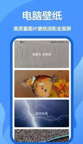 手机墙纸图片大全2022