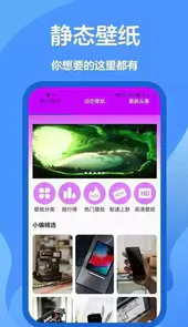 手机墙纸图片大全2022