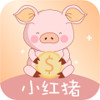 小红猪钱包app贷款入口 1.7