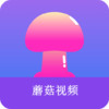 磨菇视频 1.3