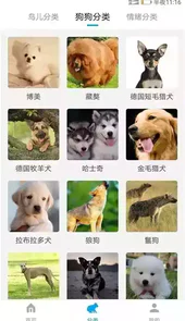动物翻译器免费版