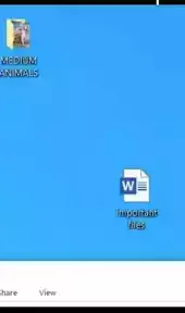 desktop goose手机