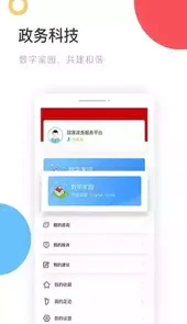 国家政务服务平台软件
