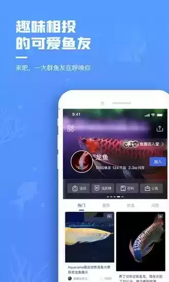 鲲天下app苹果版