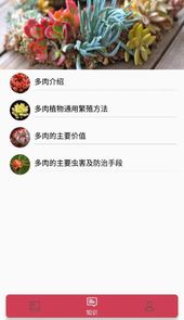 小墨多肉日记