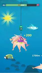 小毛爱钓鱼官网