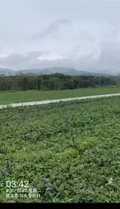 水印相机软件
