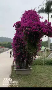 水印相机软件