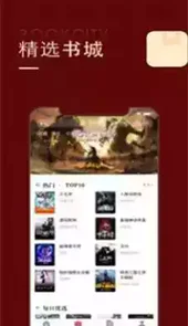 金鸿追书大师入口