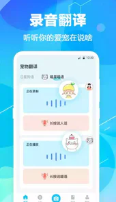猫语翻译精灵