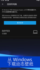 麻匪动态壁纸大全文件包全部透视(壁纸引擎)