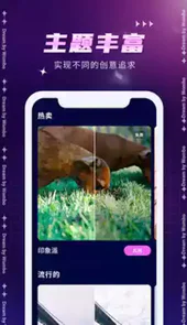 dream软件手机版