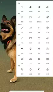painter绘画官方版