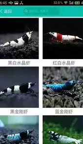 龙湖人才网最新版