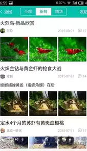 龙湖人才网最新版