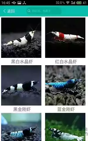 龙湖人才网软件