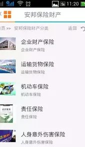 安邦车险