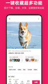 图片搜索软件