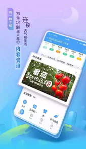 墨迹天气v5.0手机版
