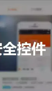 支付宝安全控件