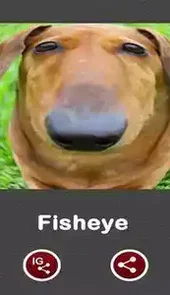 鱼眼镜头