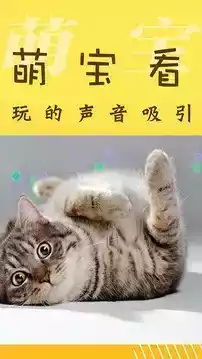 萌宝照相机安卓