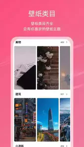 中二元气壁纸破解版