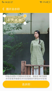 中企去水印专家app
