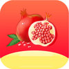 石榴视频app进入窗 3.0