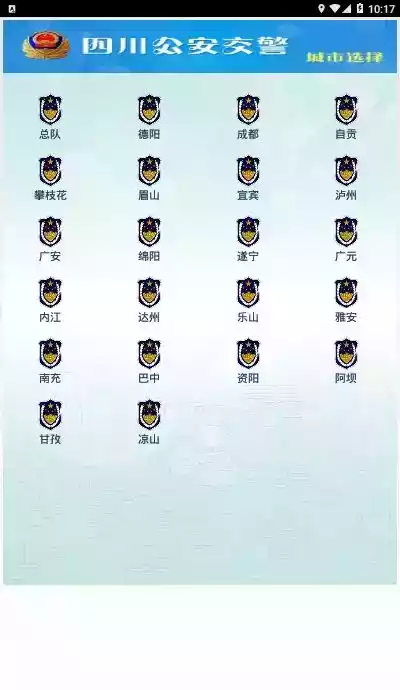 四川交警网上服务平台