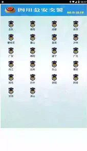 四川交警网上服务平台