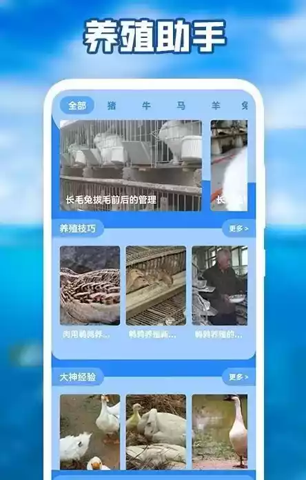 养猪场之星app