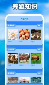 养猪场之星app