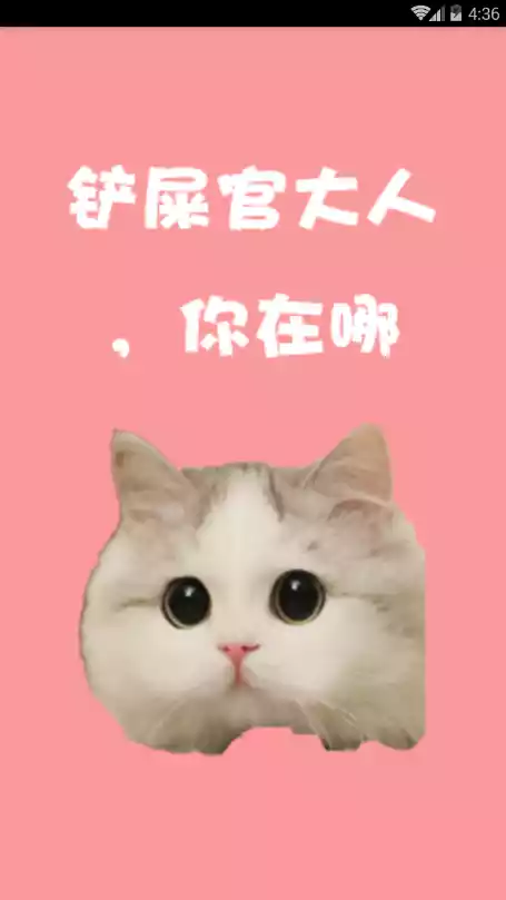 爱猫咪商城